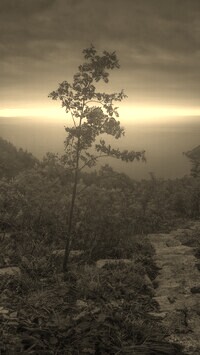 Sepia