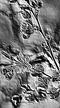 Skamielina