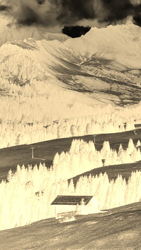 Sepia + Negatyw