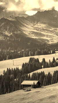 Szary + Sepia