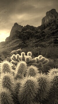 Sepia