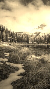 Szary + Sepia