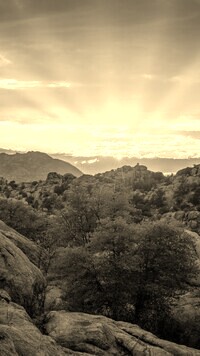 Szary + Sepia