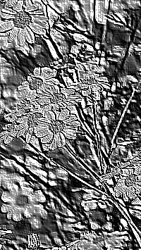 Skamielina
