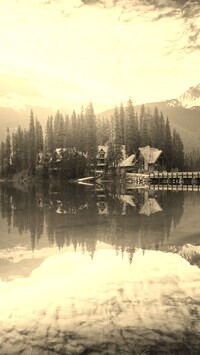 Szary + Sepia