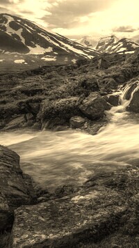 Sepia