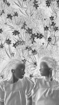 Szary + Negatyw