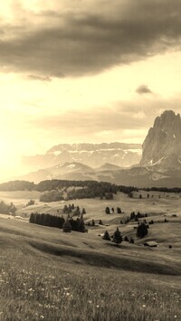 Szary + Sepia