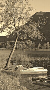 Szary + Sepia