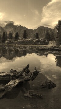Sepia