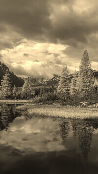 Sepia