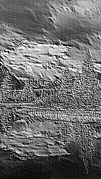 Skamielina