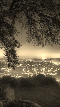 Szary + Sepia