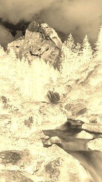 Sepia + Negatyw