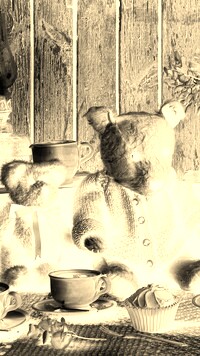 Sepia + Negatyw