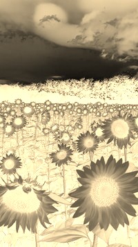 Sepia + Negatyw
