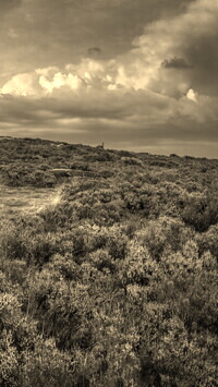 Szary + Sepia