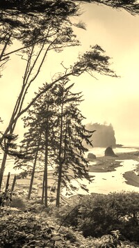 Szary + Sepia