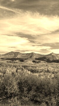 Szary + Sepia