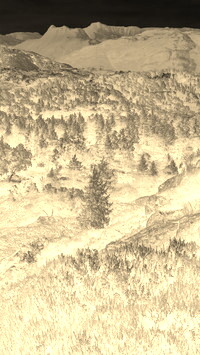 Sepia + Negatyw