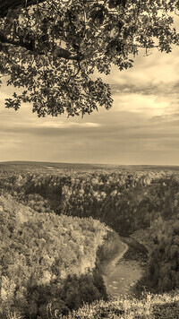 Szary + Sepia
