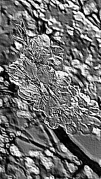 Skamielina