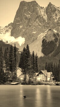 Szary + Sepia