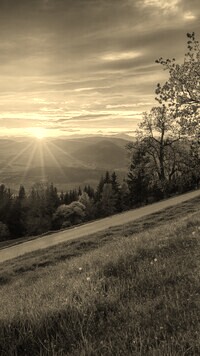 Szary + Sepia