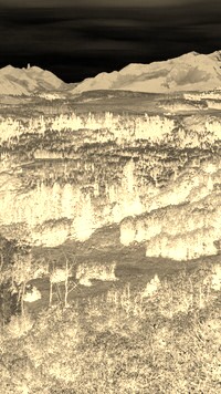 Sepia + Negatyw