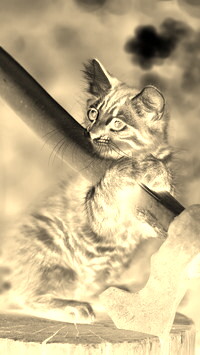 Sepia + Negatyw