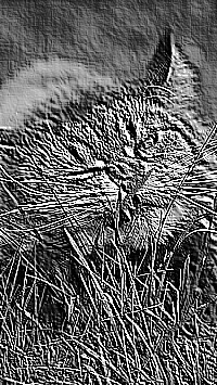 Skamielina