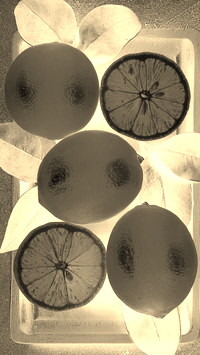 Sepia + Negatyw