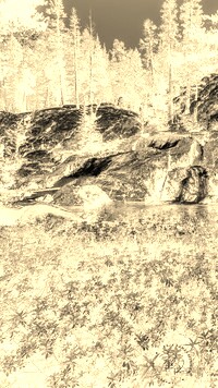 Sepia + Negatyw