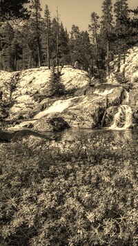 Szary + Sepia