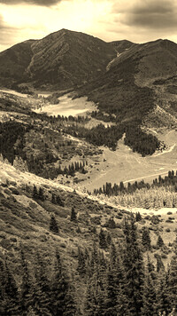 Sepia