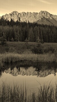 Sepia