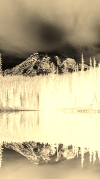 Sepia + Negatyw