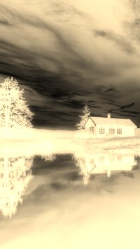 Sepia + Negatyw