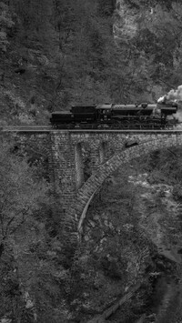 Szary