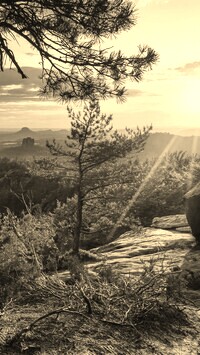 Szary + Sepia