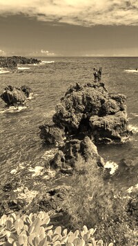Szary + Sepia