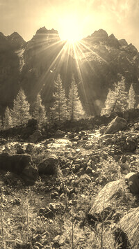 Szary + Sepia