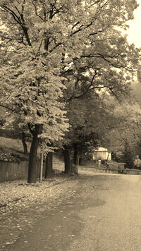 Szary + Sepia