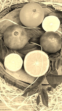 Sepia