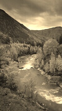 Szary + Sepia