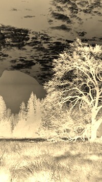 Sepia + Negatyw