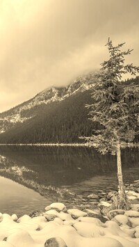 Szary + Sepia