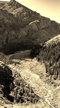 Sepia