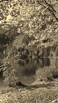 Sepia
