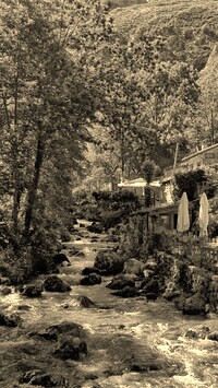 Szary + Sepia